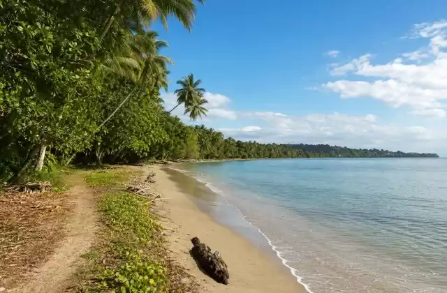 En Cahuita