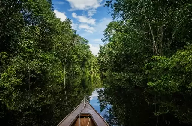 Navegación por el Río Negro
