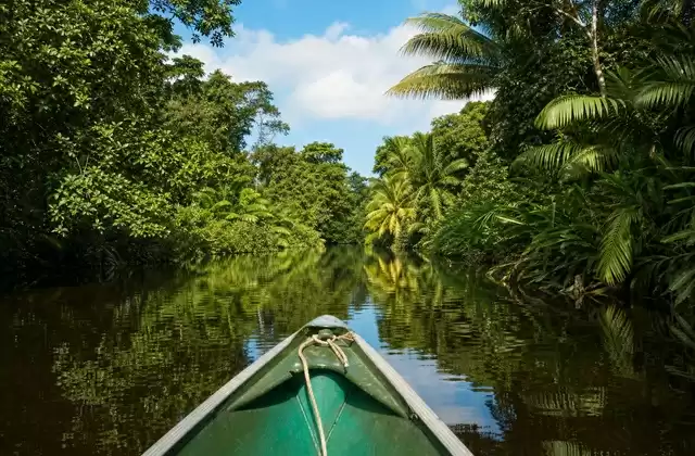 Canales de Tortuguero