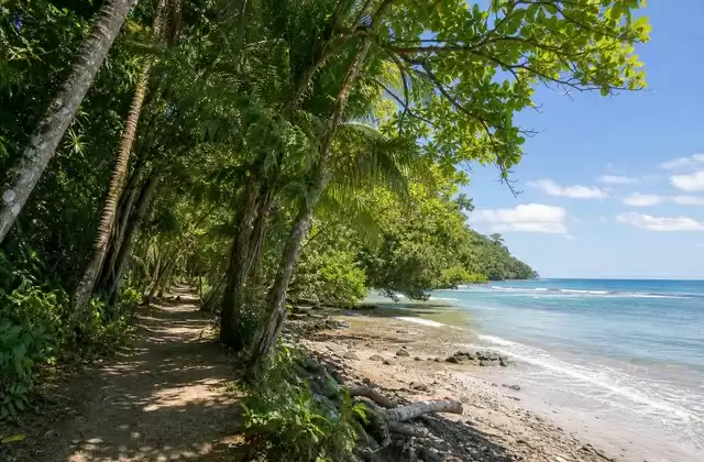 Cahuita National Park