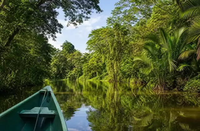 Canales de Tortuguero