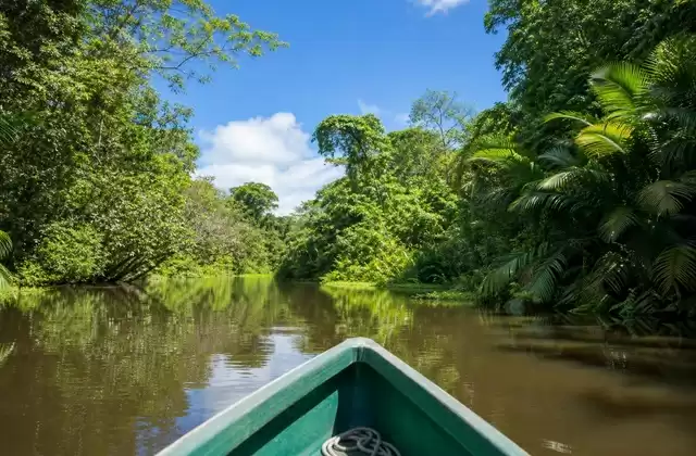 Canales de Tortuguero