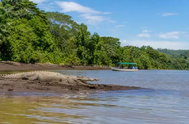 Río Tárcoles
