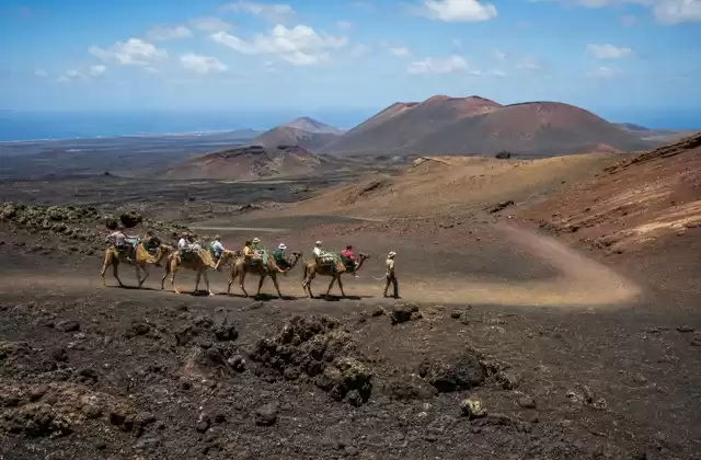 Lanzarote (Arrecife)