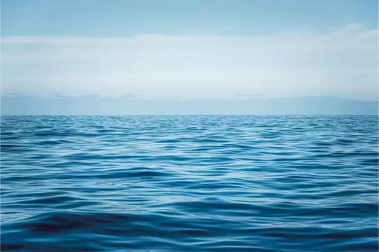 Navegación